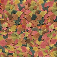 TetraMin Fish Food Flakes for Tropical Fish, 2.20 oz (62 g)