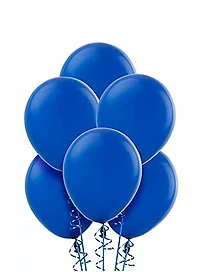 BLN9" 20CT BRT RYLBL