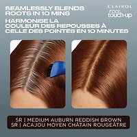 Retouche-racines permanente Clairol Root Touch-Up