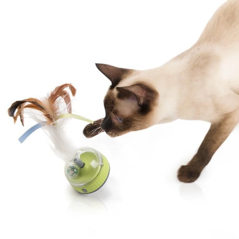 SmartyKat Silly Spinner