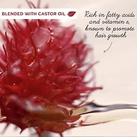 Garnier Whole Blends Castor Oil Remedy Leave In Balm 200mL