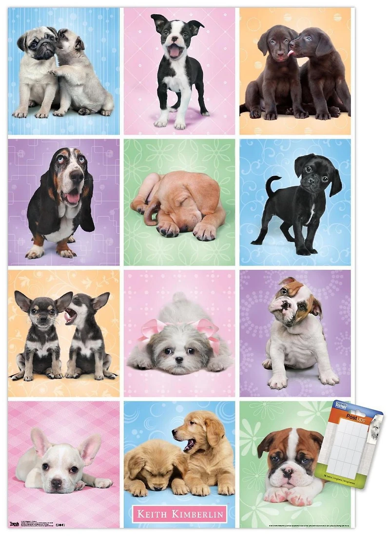 Keith Kimberlin - Puppies - Cuties Grid Wall Poster, 22.375" x 34"
