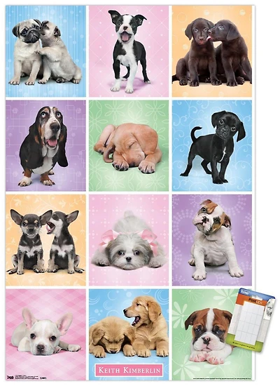 Keith Kimberlin - Puppies - Cuties Grid Wall Poster, 22.375" x 34"