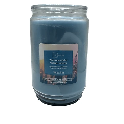 Mainstays Bougie parfumée en pot de verre à mèche unique, Wide Open Fields, 567 g (20 oz)
