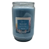Mainstays Bougie parfumée en pot de verre à mèche unique, Wide Open Fields, 567 g (20 oz)