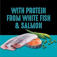 Nourriture sèche sans céréales pour chiens CRAVE saveur de saumon et de poisson de mer