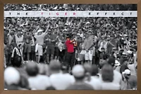 Tiger Woods - The Tiger Effect Wall Poster, 22.375" x 34"
