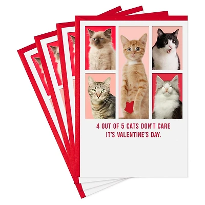 Hallmark Shoebox Pack of 4 Funny Valentine's Day Cards (Cats Don’t Care)