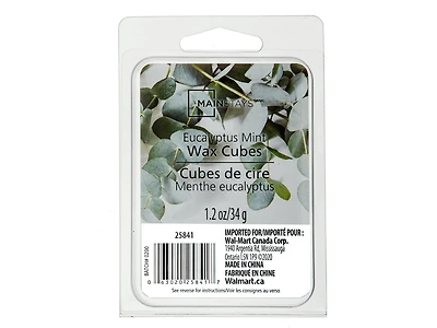 MAINSTAYS MENTHE EUCALYPTUS CUBES DE CIRE 1,2 oz / 34 grammes