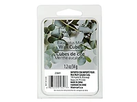 MAINSTAYS MENTHE EUCALYPTUS CUBES DE CIRE 1,2 oz / 34 grammes