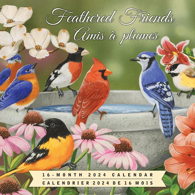 Hopper Studios Feathered Friends Amis a Plumes 2024 12x24 Inch Square Wall Calendar, 9781773728063