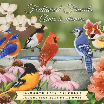 Hopper Studios Feathered Friends Amis a Plumes 2024 12x24 Inch Square Wall Calendar, 9781773728063