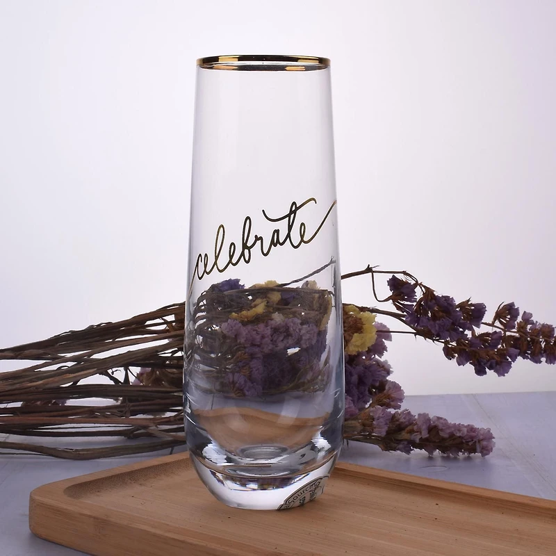 Glass Stemless Champagne Flutes Wine Glass Champagne Glasses Water Cup BPA-Free for Housewarming Friends clear glass