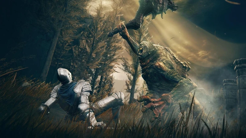 Jeu vidéo ELDEN RING Shadow of the Erdtree Edition pour (PS5)