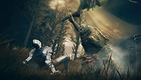 Jeu vidéo ELDEN RING Shadow of the Erdtree Edition pour (PS5)