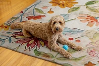 7X9 OUTDOOR WSHABL D