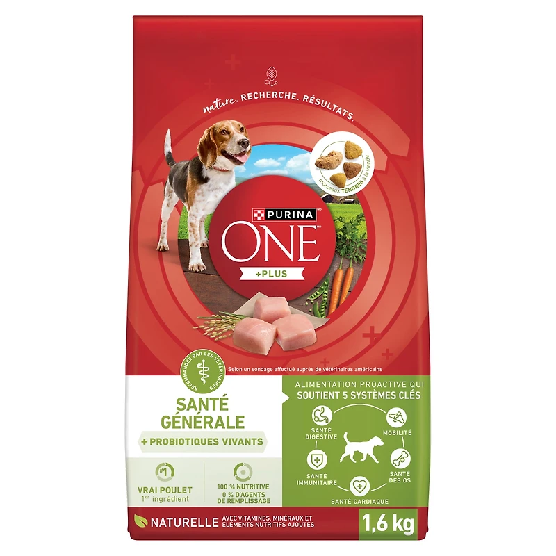 Purina ONE +Plus Santé générale avec du vrai poulet, Nourriture Sèche pour Chien, 1.6 kg