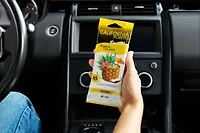 Désodorisant pour voiture California Scents Scent Bloc, parfum Tropical Colada