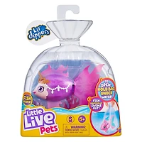P’tits Plongeurs Little Live Pets, boîte unitaire – Reine de mer