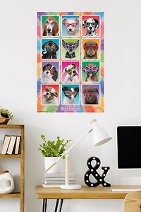 Keith Kimberlin - Puppies - Sunglasses Wall Poster, 22.375" x 34"