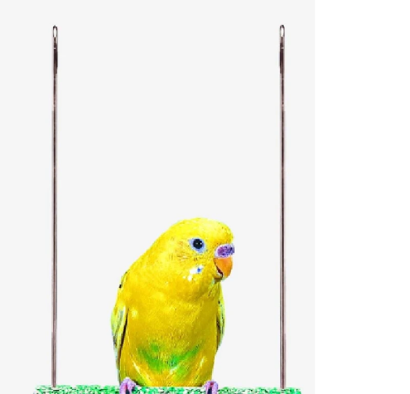 Penn-Plax, Oiseau Swing