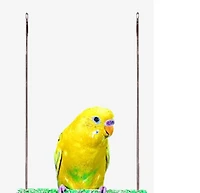 Penn-Plax, Oiseau Swing