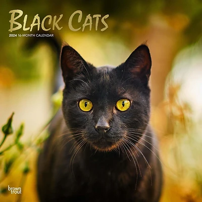 BrownTrout Black Cats 2024 12x24 Inch Square Wall Calendar, 9781975461805
