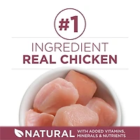 Purina ONE +Plus Chats Âgés 7+ Poulet, Nourriture Sèche pour Chats 1,8 kg 1,8kg