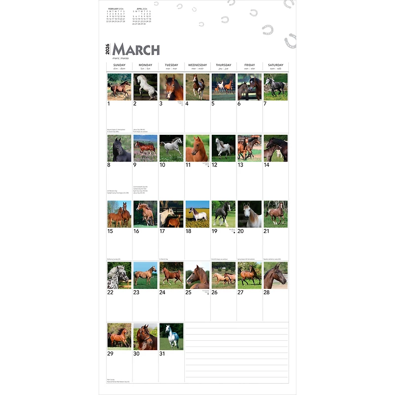 Horses, 365 Days of, 2026 Square Flap