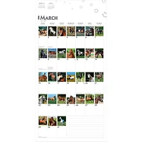Horses, 365 Days of, 2026 Square Flap