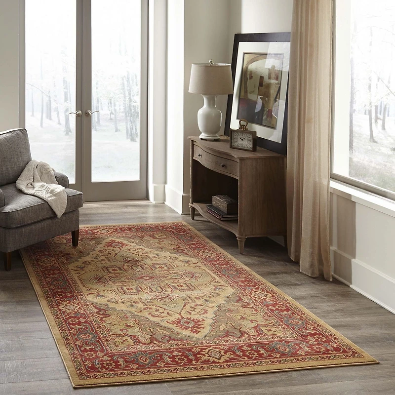 ECARPET Lux Tapis pour Salon, Chambre, Salle A Manger, Entrée, Couloir et Plus Encore.
