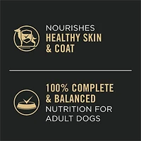 Purina Pro Plan Complete Essentials Turkey & Vegetables Entrée Slices in Gravy, Wet Dog Food 368 g