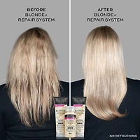 John Frieda Blonde+ Système Réparateur Traitement Pré-Shampooing | Fabriqué au Canada
