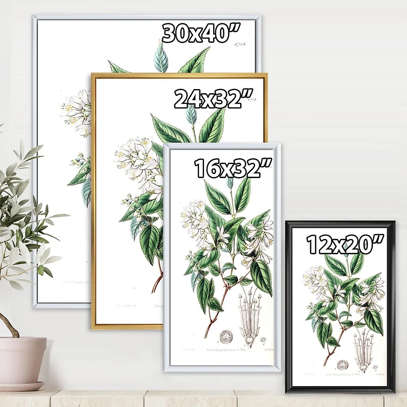 Designart Vintage Botanicals X FLOAT FRAME WALL ART