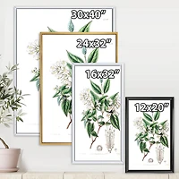 Designart Vintage Botanicals X FLOAT FRAME WALL ART