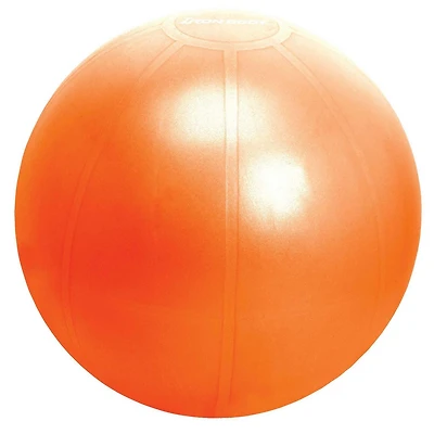 Ballon de stabilité Iron Body Fitness Pro Series avec pompe, ballon d’exercice anti-éclatement