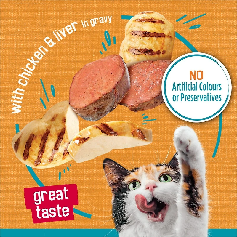 Friskies Tasty Treasures avec Poulet en Sauce Nourriture pour Chats