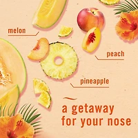 Febreze Plug In Air Freshener, Odor-Fighting Scented Oil Refill, Hawaiian Aloha Scent, 3 Refills, 77.7ML