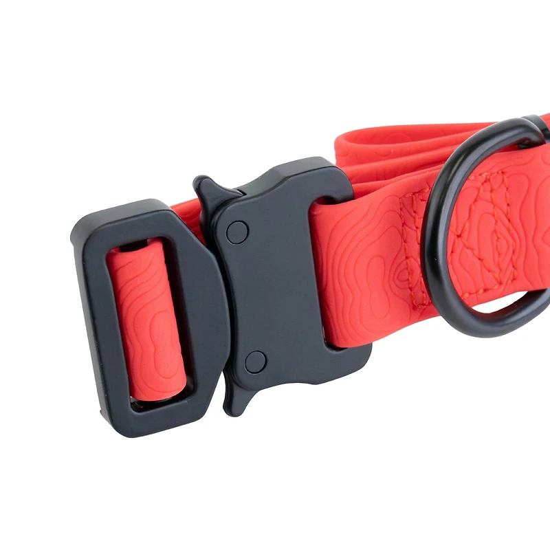 One Paw, Silicone Dog Collar with Metal Buckle, Water Repellent, Multiple Sizes