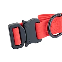 One Paw, Silicone Dog Collar with Metal Buckle, Water Repellent, Multiple Sizes