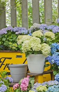 Hometrends Indoor Basic Bell Black, White and Grey Planter, Black Planter