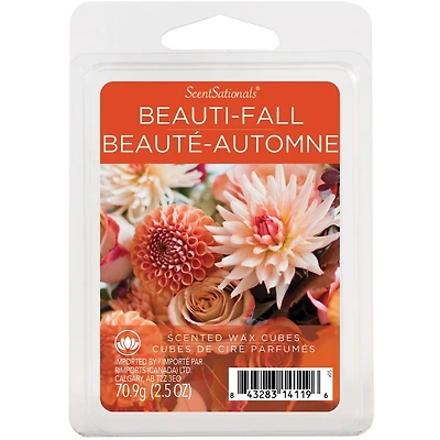 Cubes de cire parfumée ScentSationals - Beauté-Automne