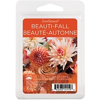 Cubes de cire parfumée ScentSationals - Beauté-Automne