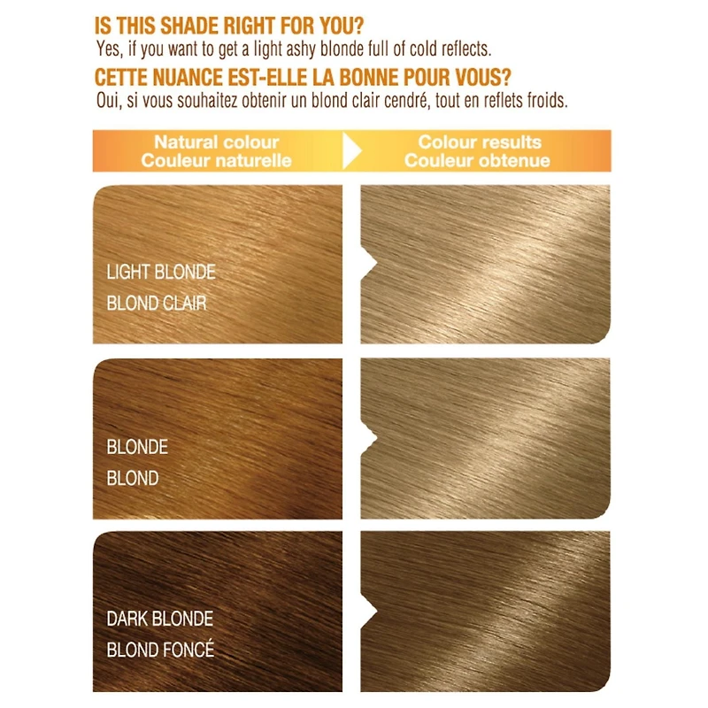 Garnier Belle Color Permanent Hair Dye, Natural results, up to 100% Grey Coverage
