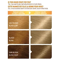 Garnier Belle Color Permanent Hair Dye, Natural results, up to 100% Grey Coverage