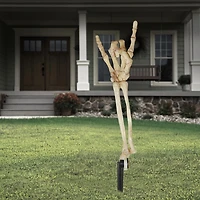 FAÇON DE CÉLÉBRER 20IN PIQUER LA MAIN - ROCK