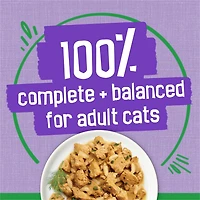 Friskies Indoor Gravy Turkey Dinner Wet Cat Food 156g, 156 g