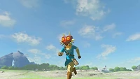 Switch The Legend of Zelda : Breath of the Wild Expansion Pass [Téléchargement]