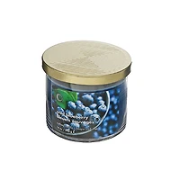 IH Casa Decor 14 Oz 3 Bougie En Pot Avec Couvercle Wild Blueberry - Ensemble De 2