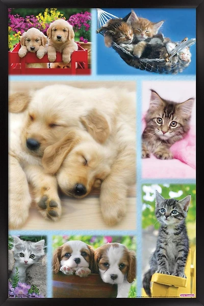 Keith Kimberlin - Puppies and Kittens Collage Wall Poster, 22.375" x 34"